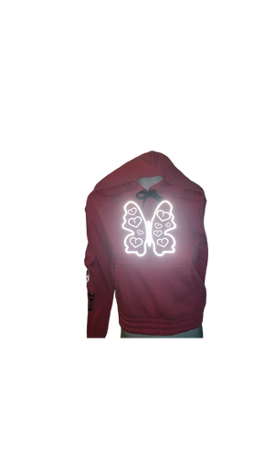 Butterfly Love Reflective Crop Hoodie